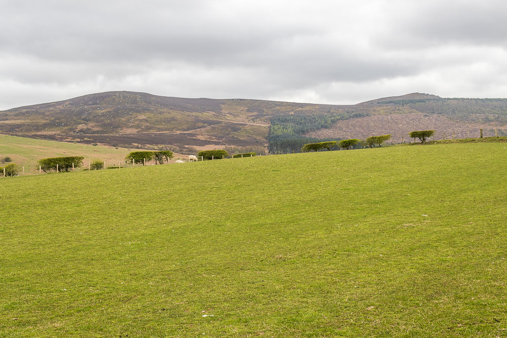 Simonside Hills Simonside Hills